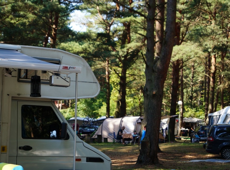 Camping Kaszub ?v=1.0