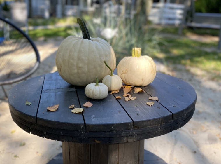  Marszall&oacute;wka ?v=1.0