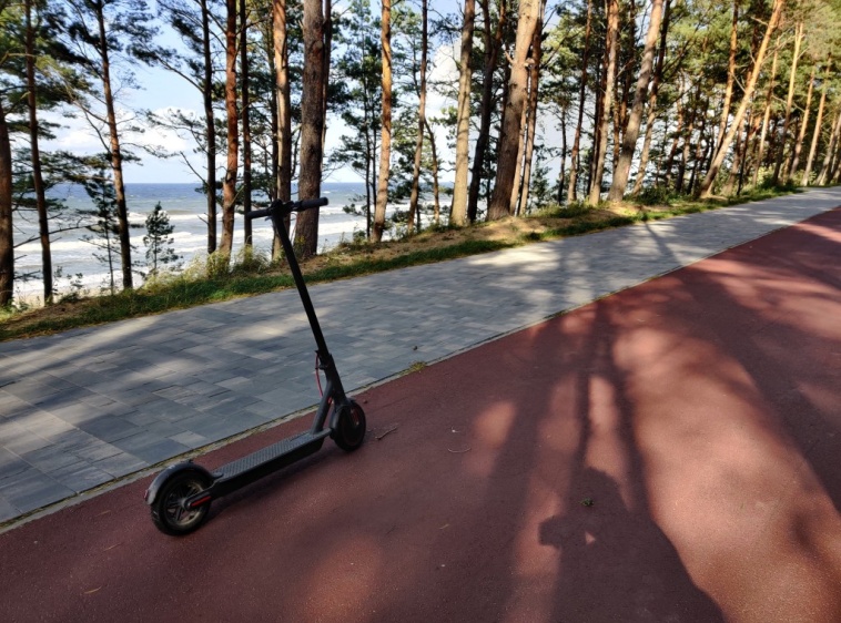 Wypożyczalnia Hulajn&oacute;g Dziki Rex