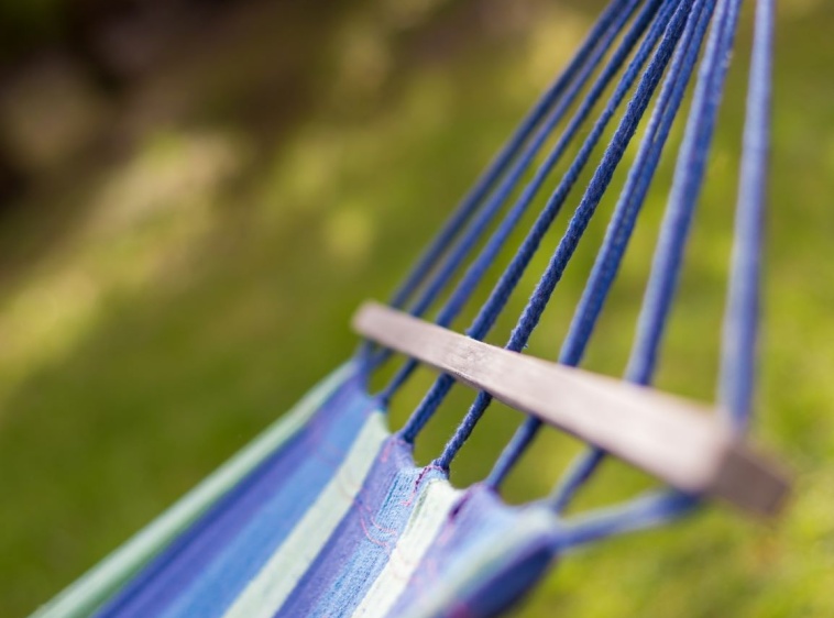 Apartamenty w Domu pod Brzozą  ?v=1.0