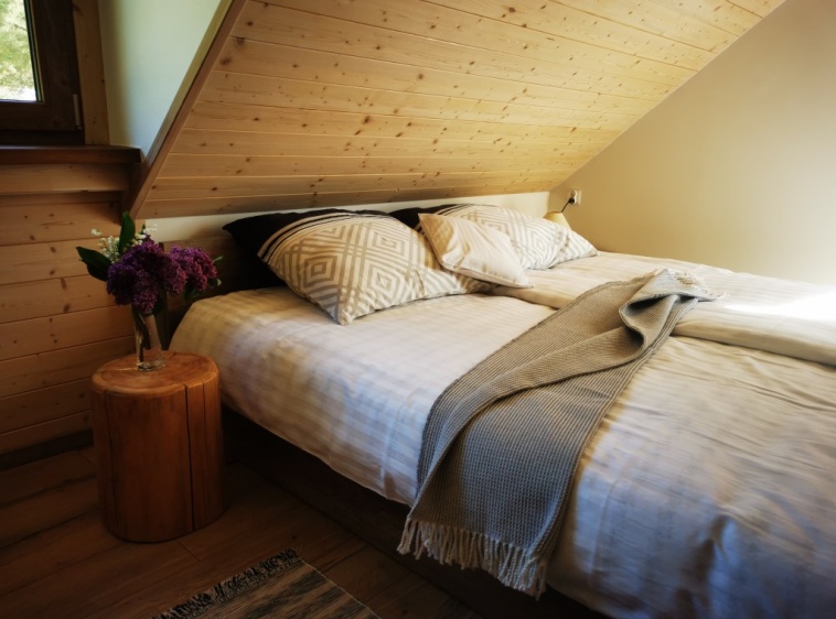 Domki na G&oacute;rce Zamkowej ?v=1.0