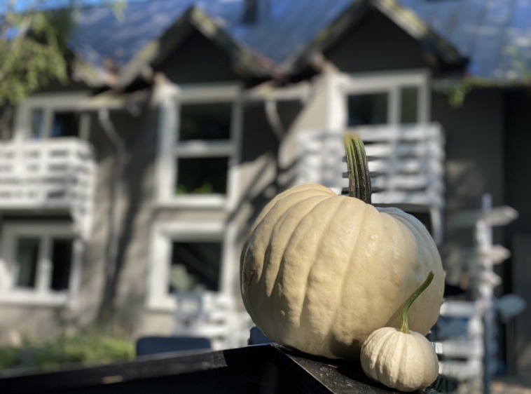  Marszall&oacute;wka ?v=1.0